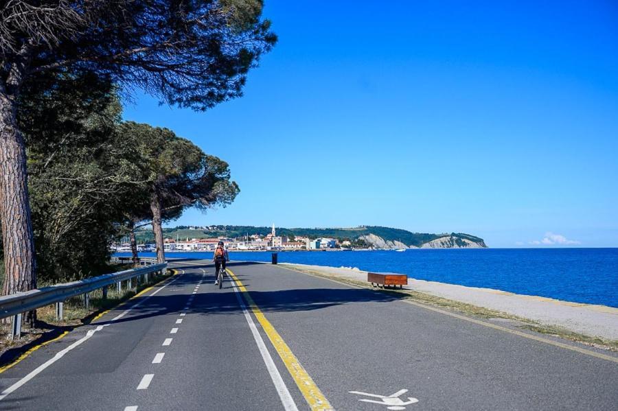 Sunny Days * Koper